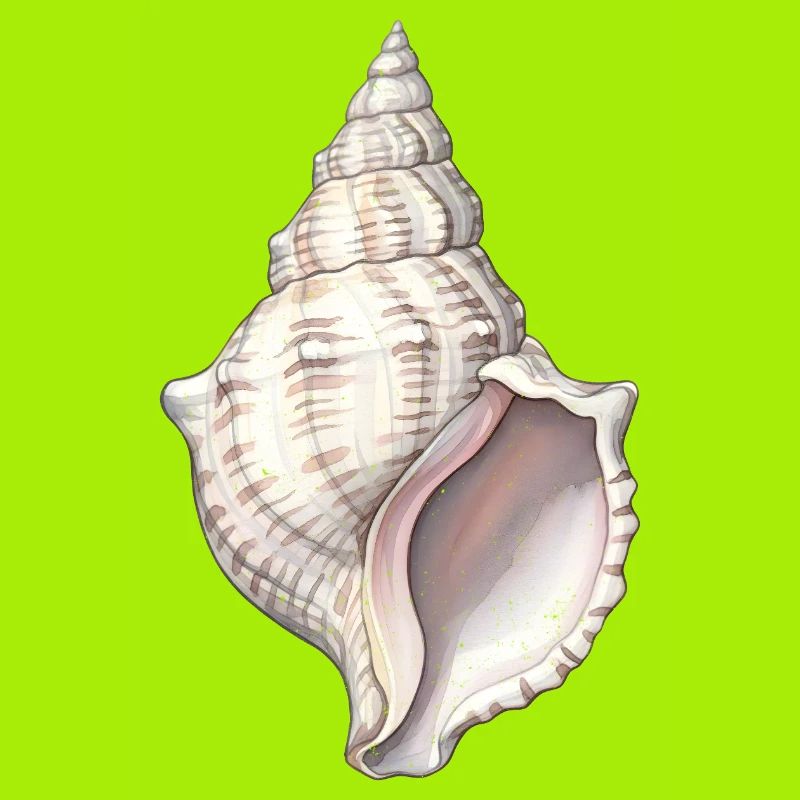 Sea Shell Spiral