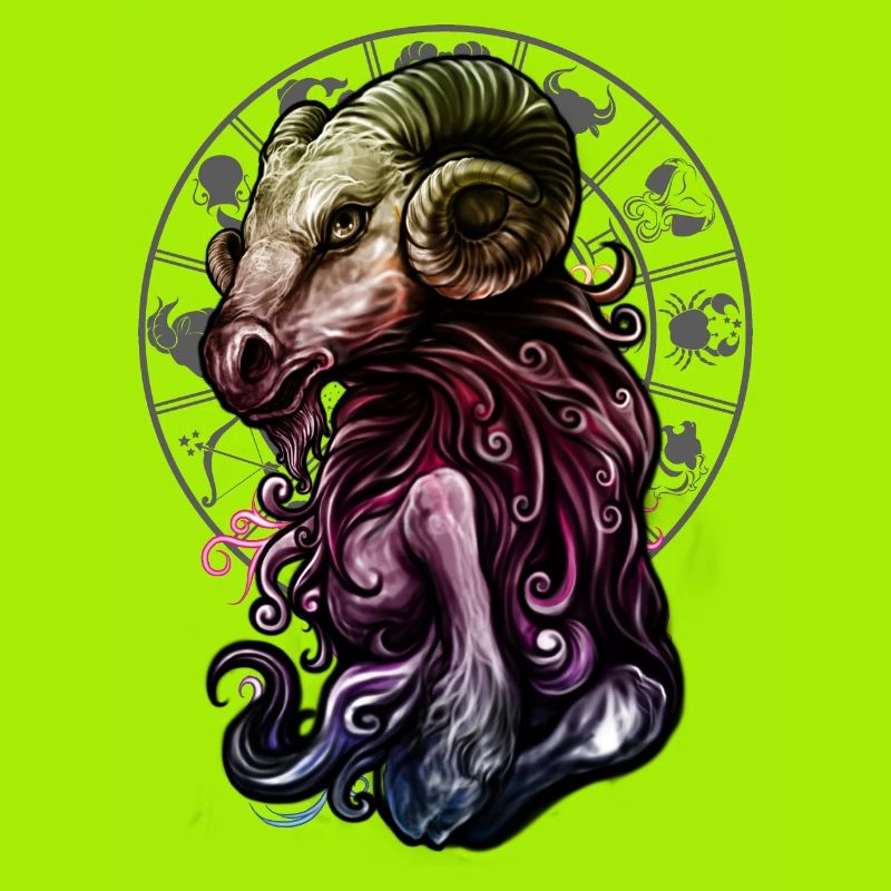 Sternzeichen Widder rainbow grey - RAHMENLOS