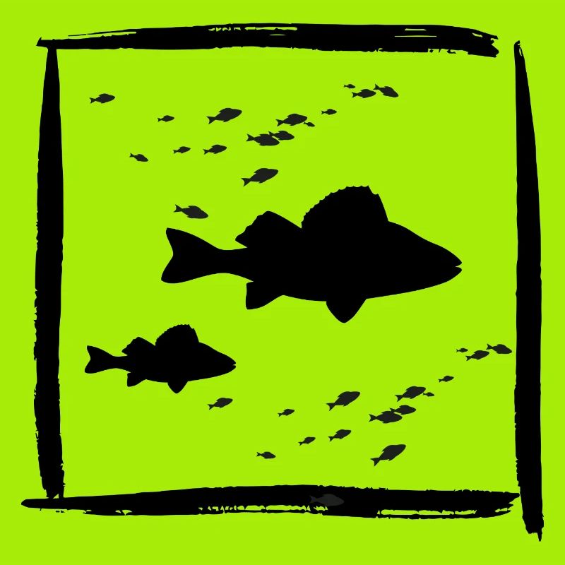 Barsch Perch