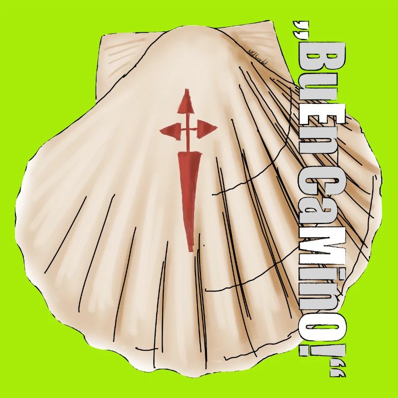 Scallop