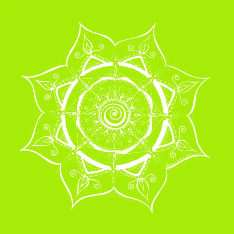 Mandala Spider Web Design