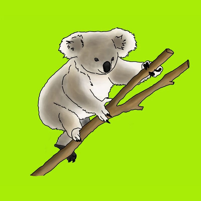 Koala bear