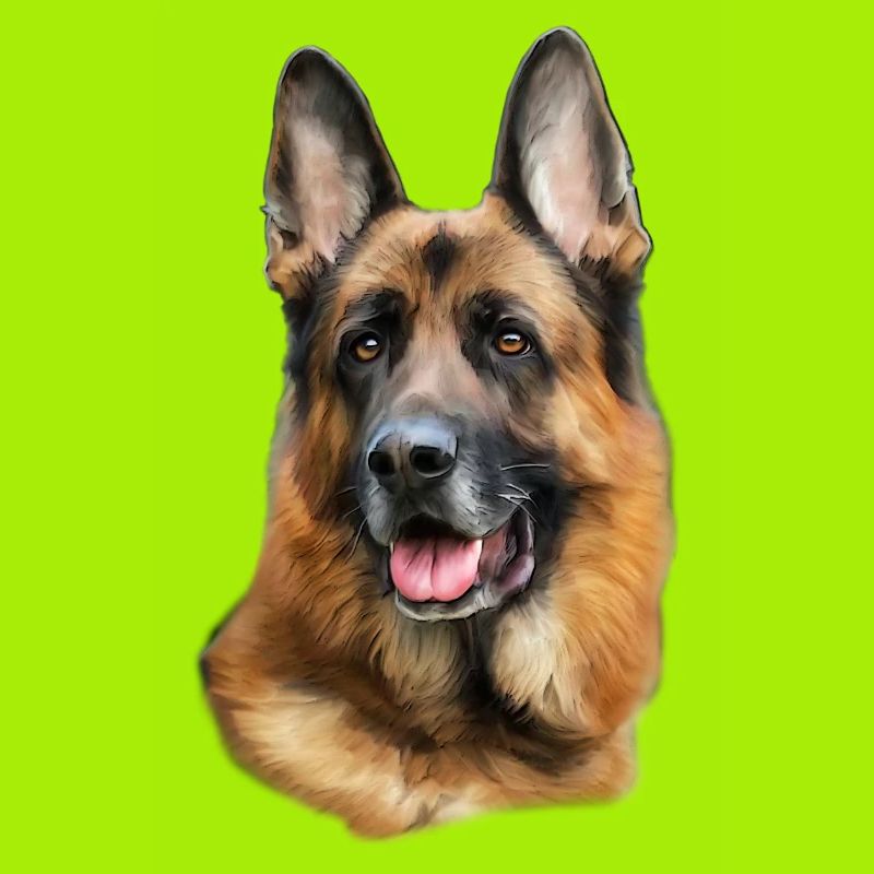 German shepherd head