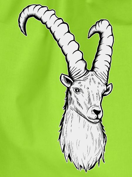 Steinbock Sternzeichen