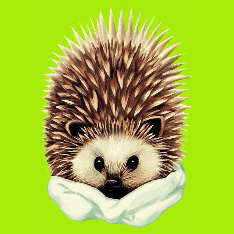 cozy hedgehog