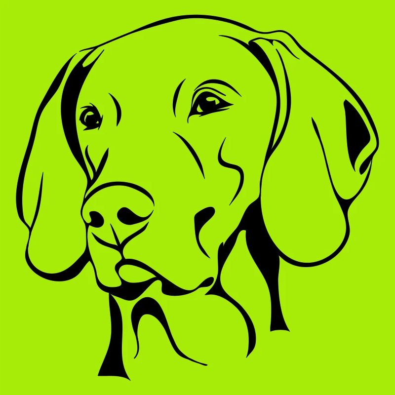 WEIMARANER Hunde Jagdhunde Hund Wilsigns