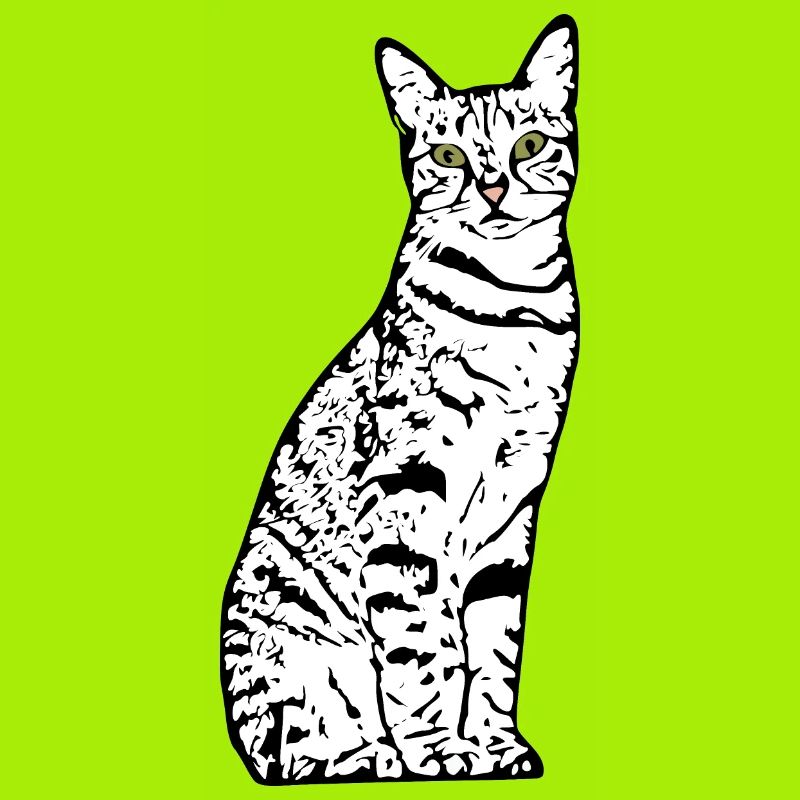 Chat blanc Chat Chat blanc Cadeau