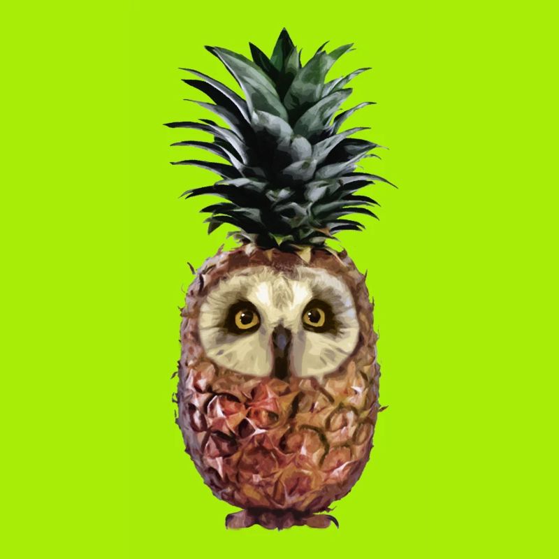 Ananas-Eule