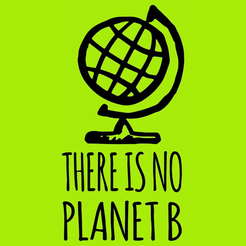 There is no Planet B - Globe Terrestre