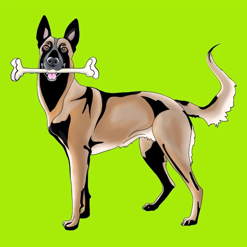 Malinois Schäferhund mit Knochen