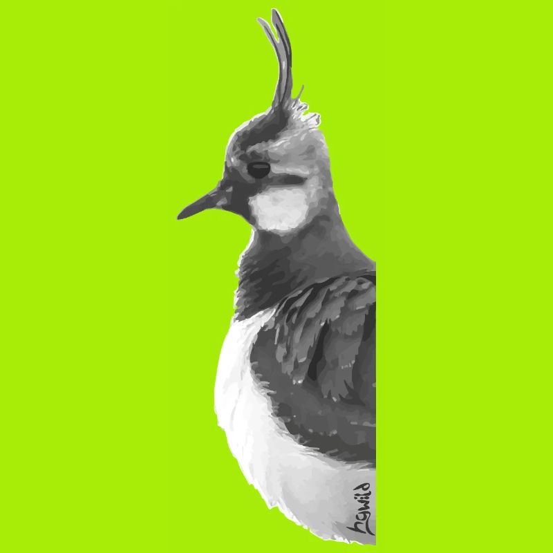 Lapwing Portrait