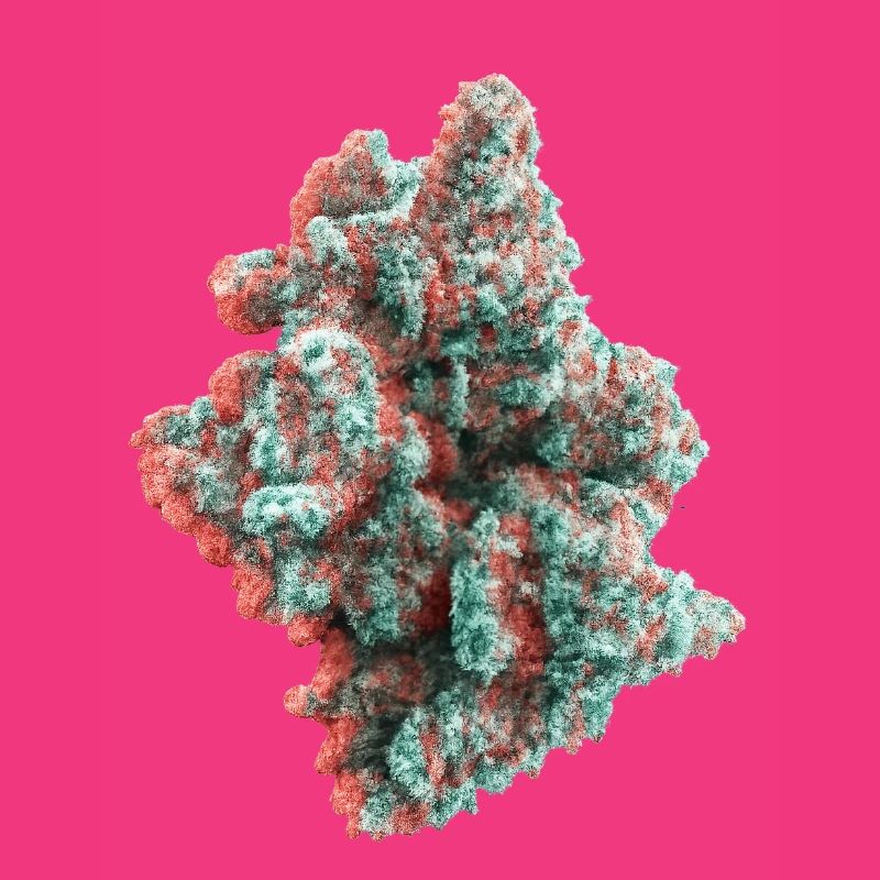 Cannabis Weed Bud 3D Anaglyph