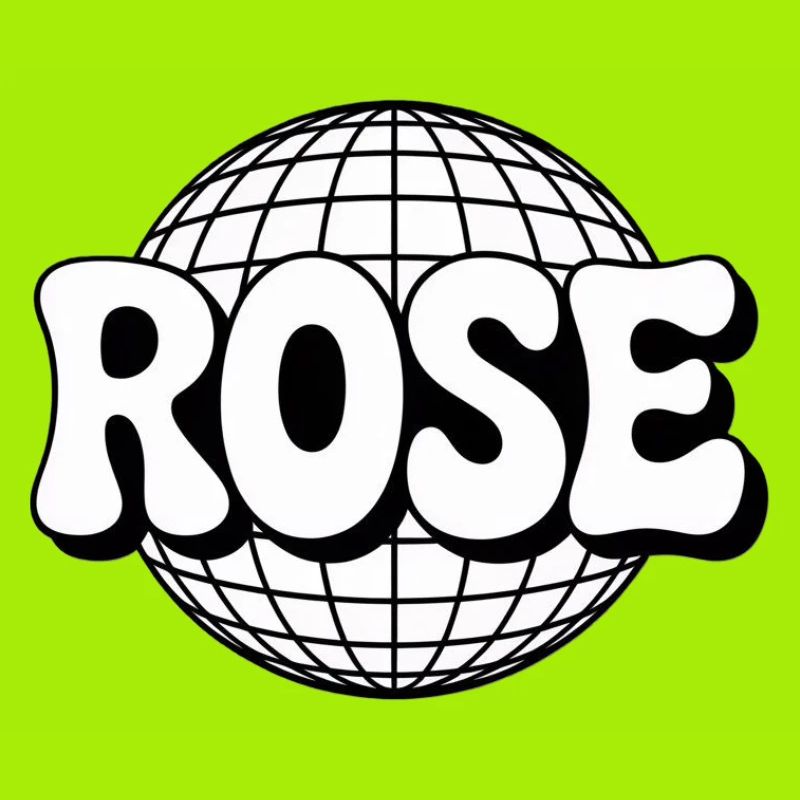Rose Disco Sphère