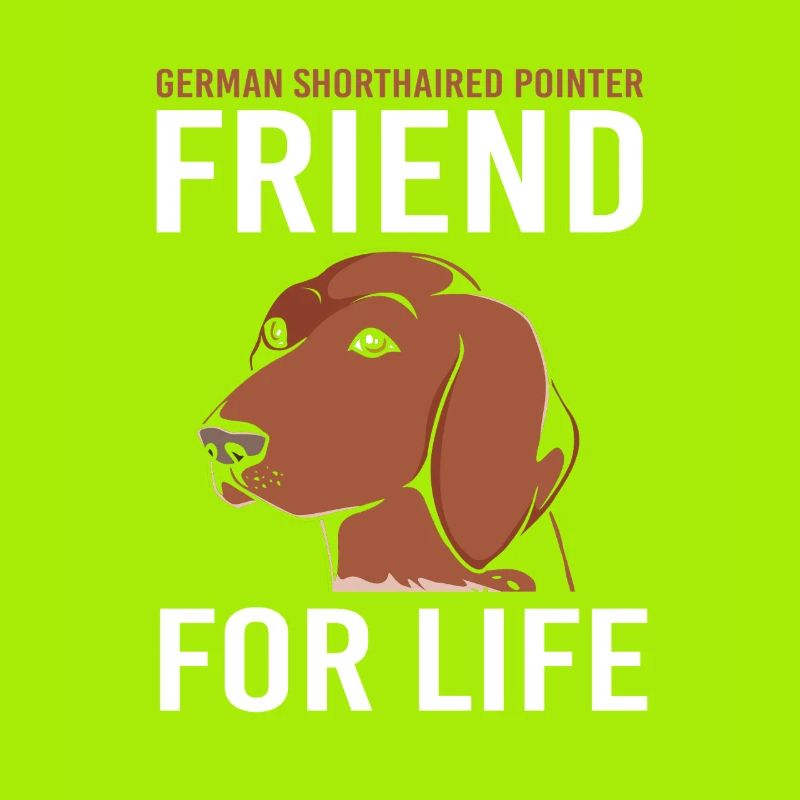 German Pointer Hund Deutsch Kurzhaar