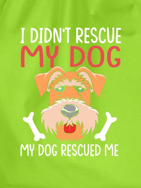 Airedale Terrier