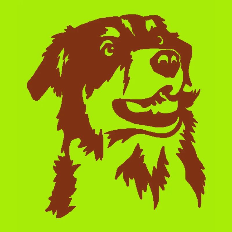 Australian Shepherd