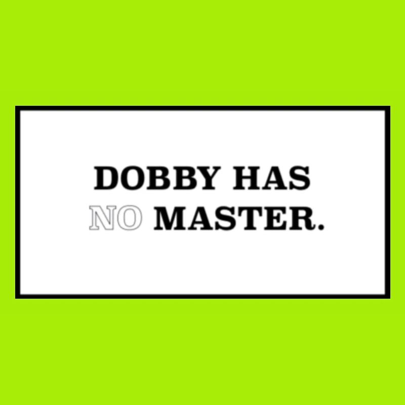 Dobby n'a pas de maître.
