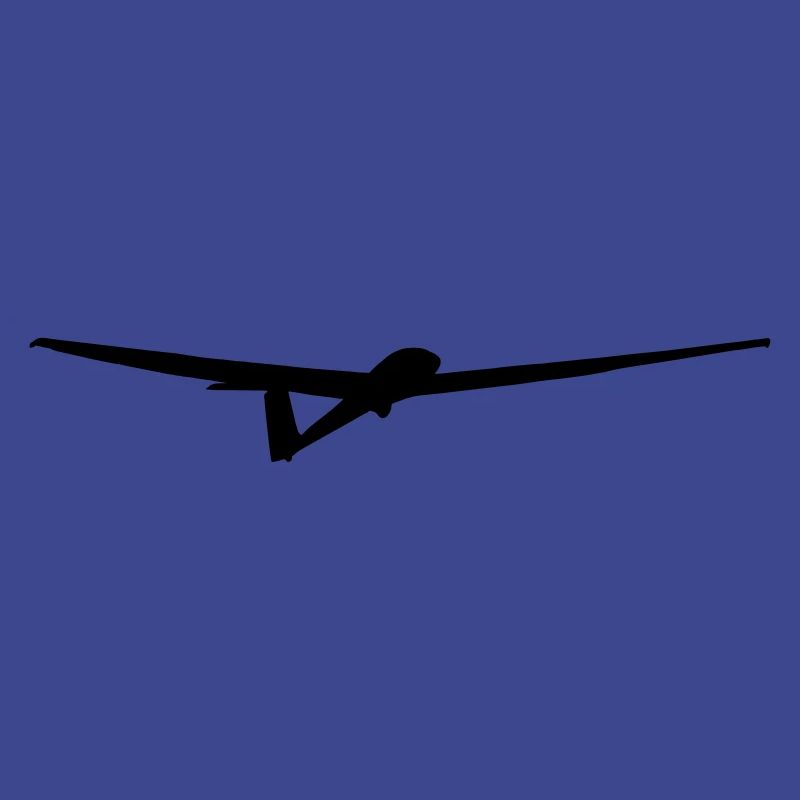 Glider Glider Glider Pilot Pilot