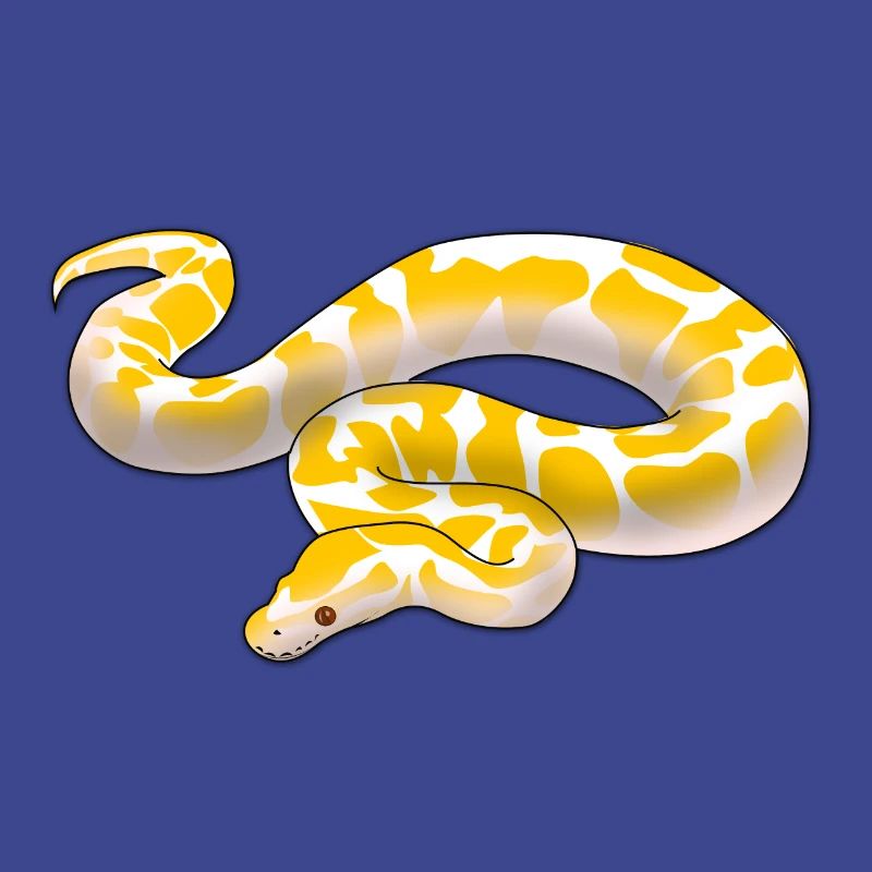 Albino ball python Python regius ballpython motif