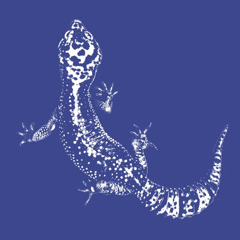 Gecko / Leopard gecko