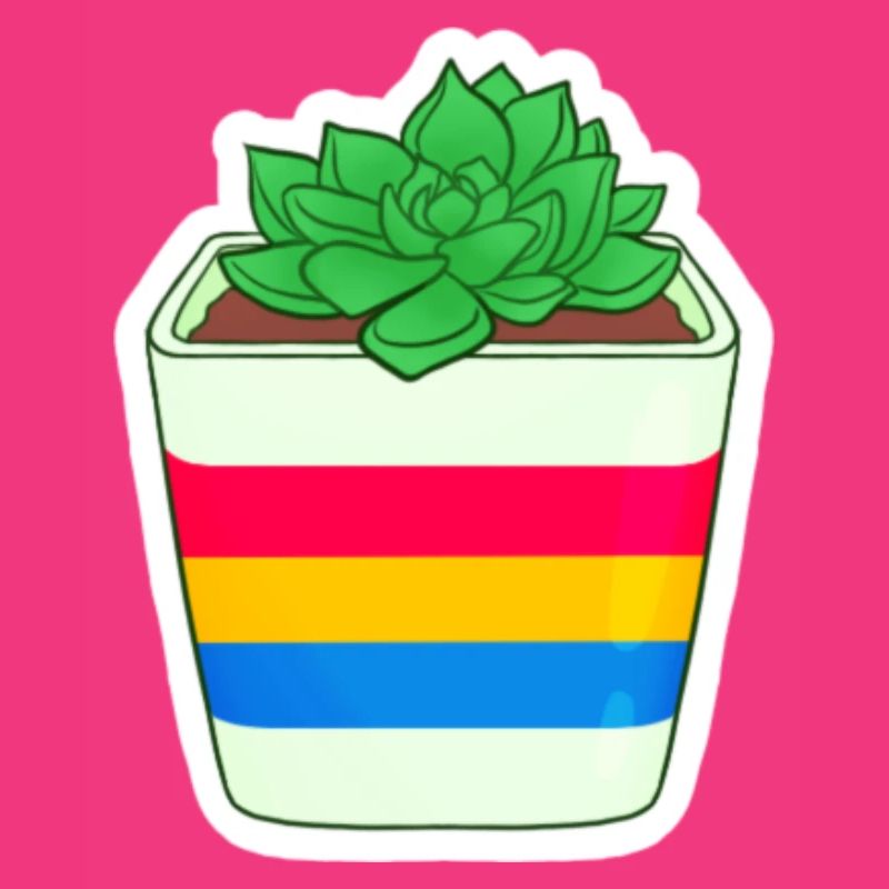 Pan Succulent