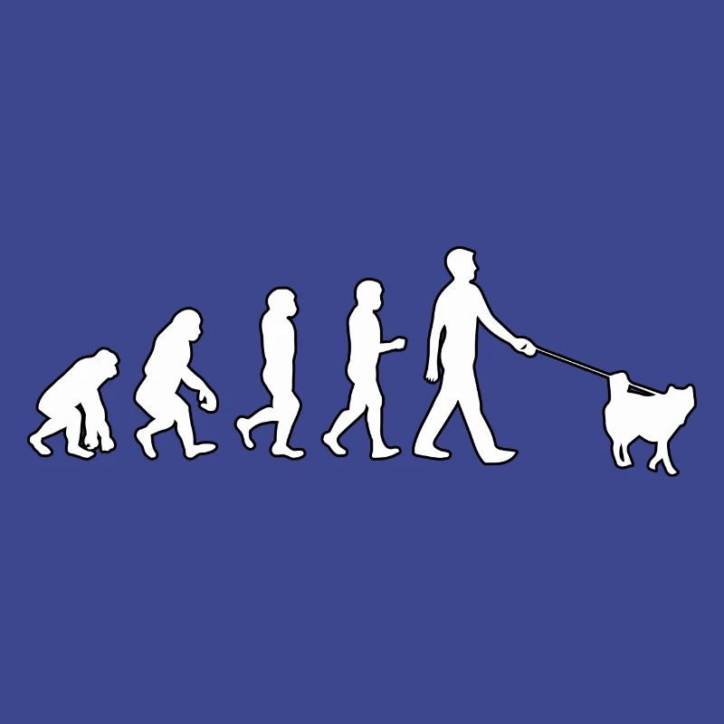 Évolution du husky