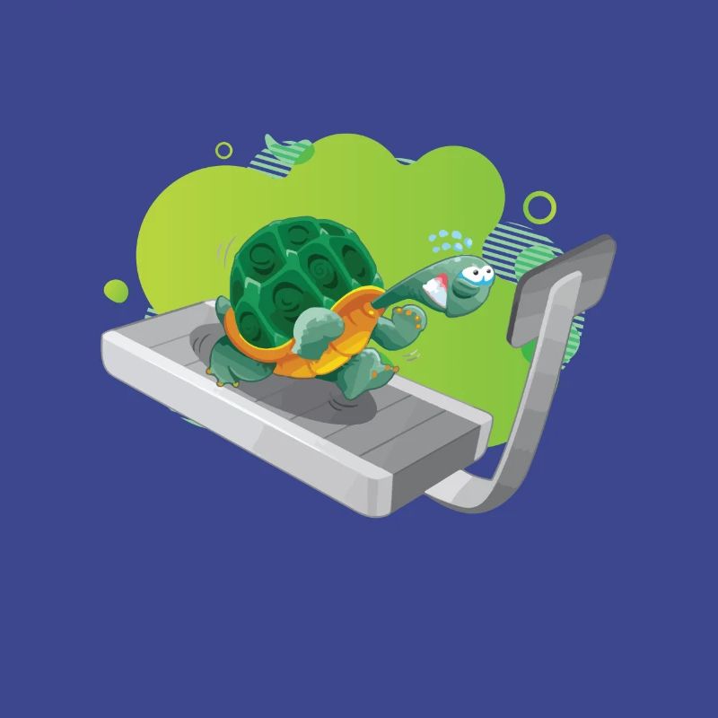 witizge turtle on treadmill