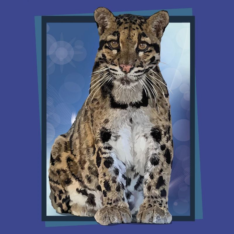 Clouded leopard