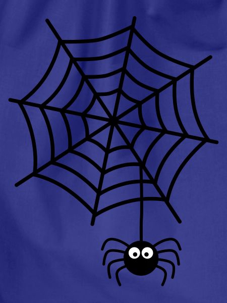 Spinnennetz Spinne