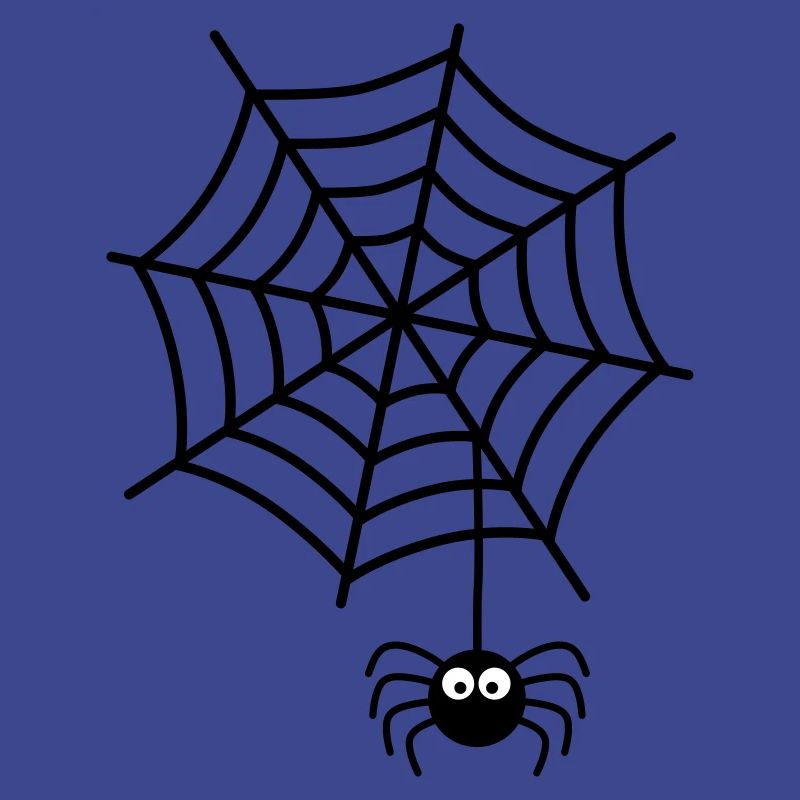 Spinnennetz Spinne