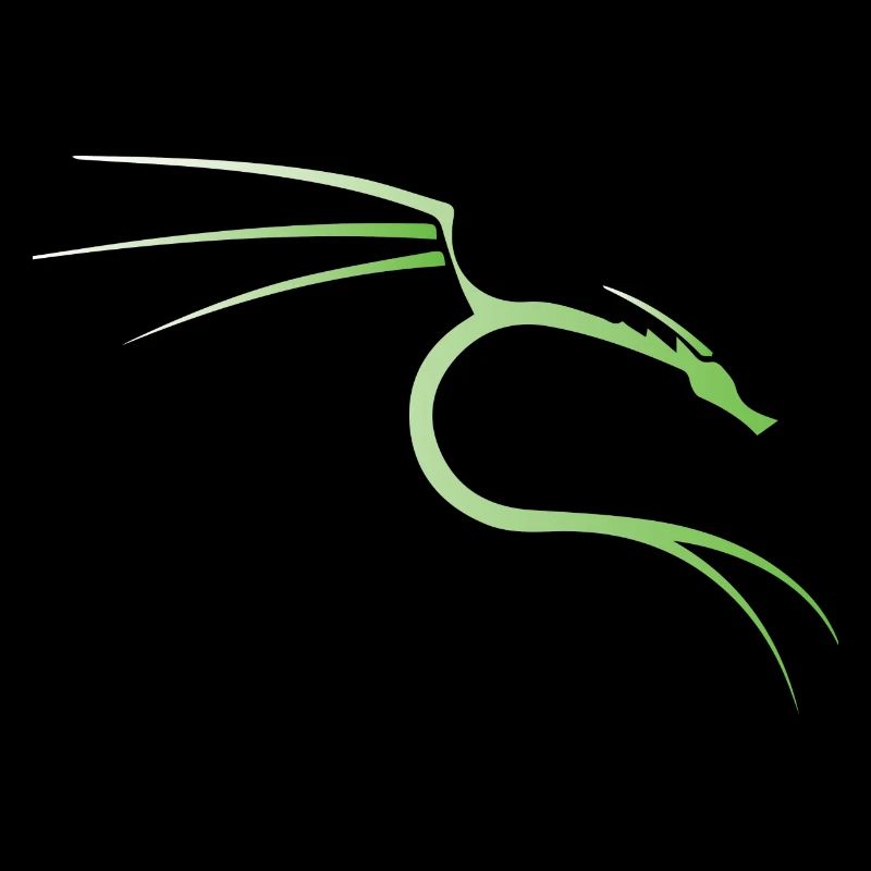 Kali Linux Dragon