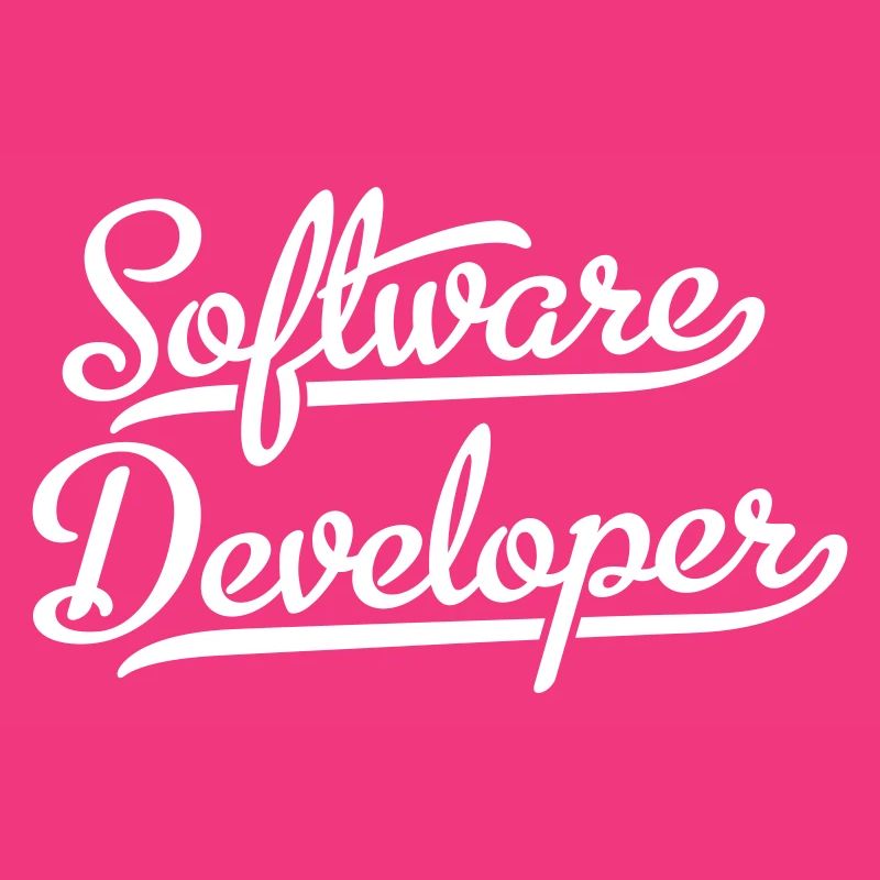 Software Developer