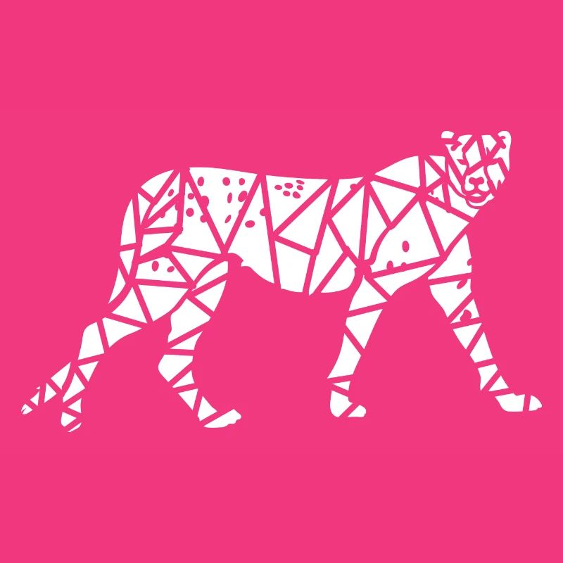 Cheetah-Code
