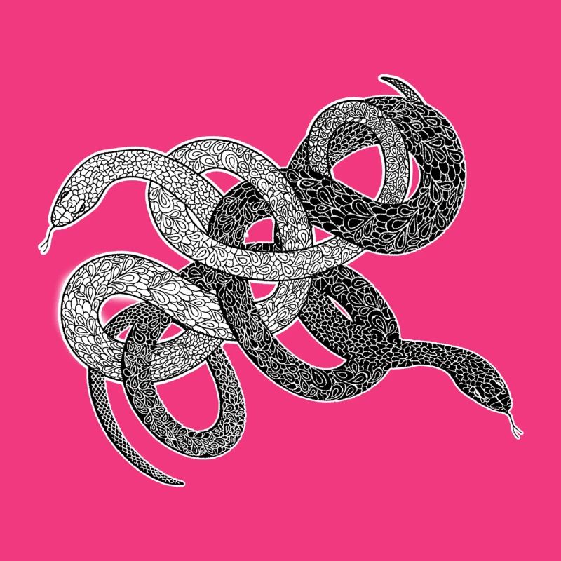 Schlangen Geschenk python anaconda snake