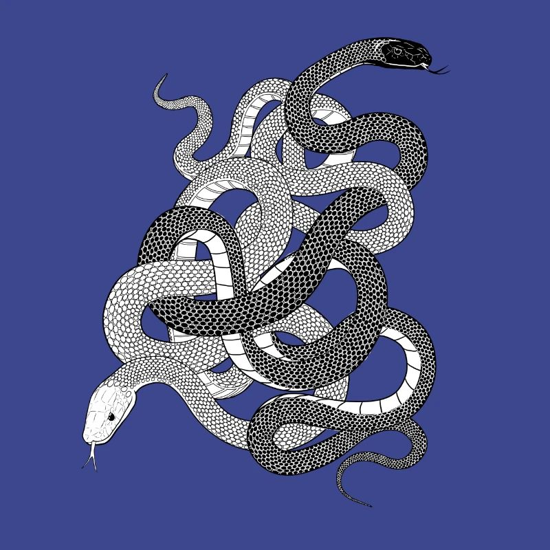 Schlangen Geschenk python anaconda snake