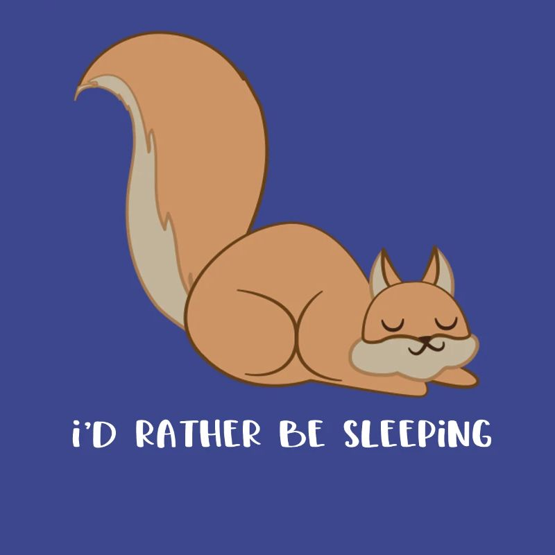 Squirrel - squirrel fan - sleeping