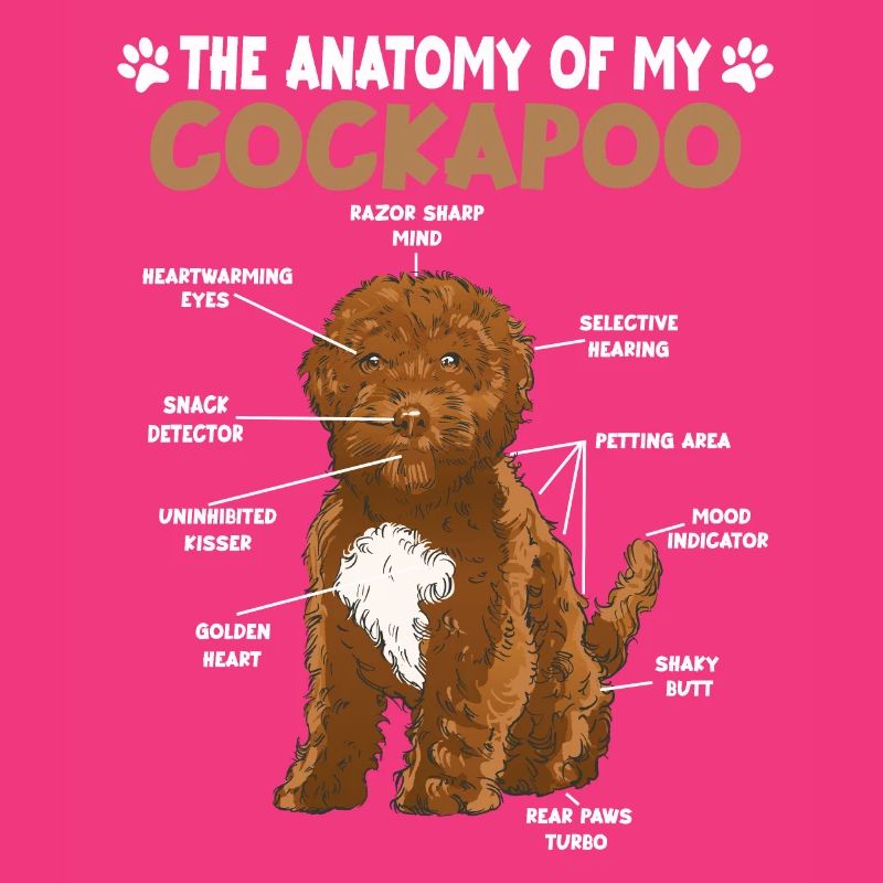 Cockapoo Anatomie lustig Hundehalter Hunde