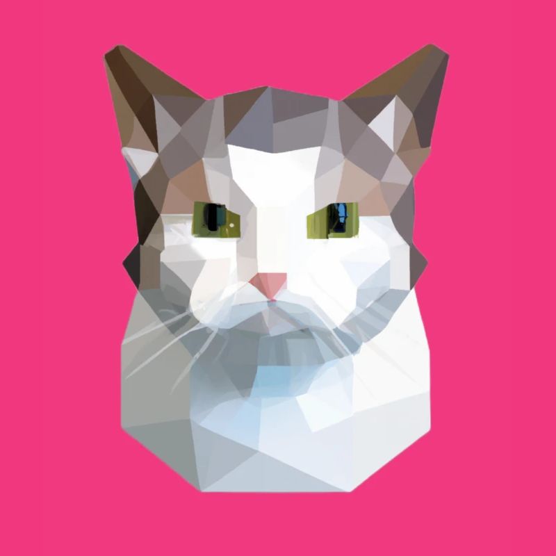 chat mignon bas poly chat blanc gris