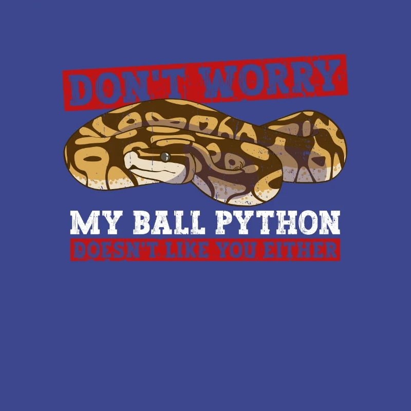 Königspython Banana Ball Python