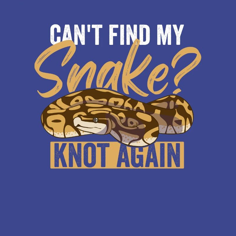 Königspython Ball Python