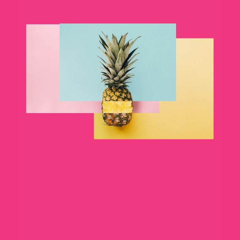 Bunte Ananas / Geschenk Idee