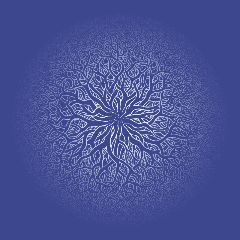 Root circle white