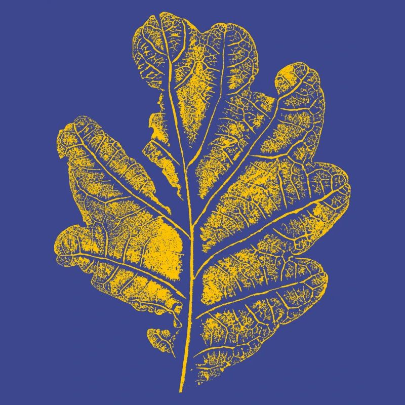 Blatt Eiche/ Eichenblatt