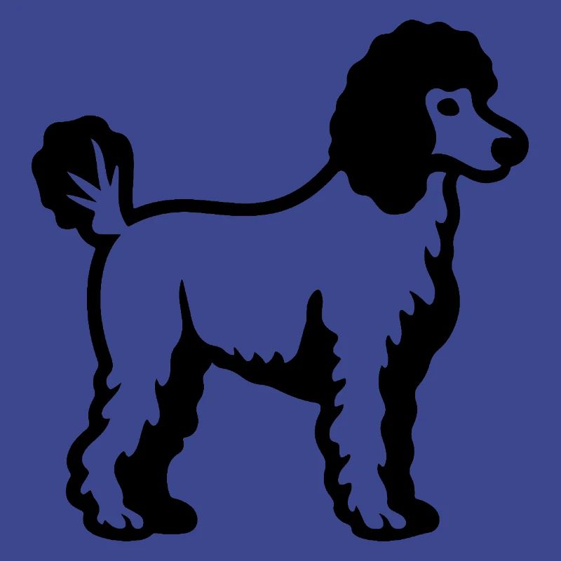 Poodle Hund
