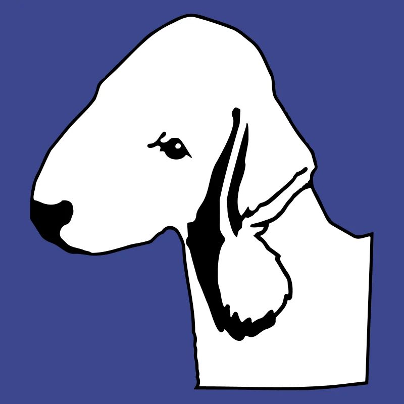 Bedlington Terrier