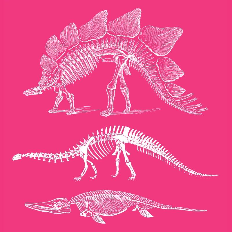 Dinosaur evolution