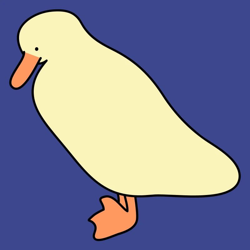 duck 5
