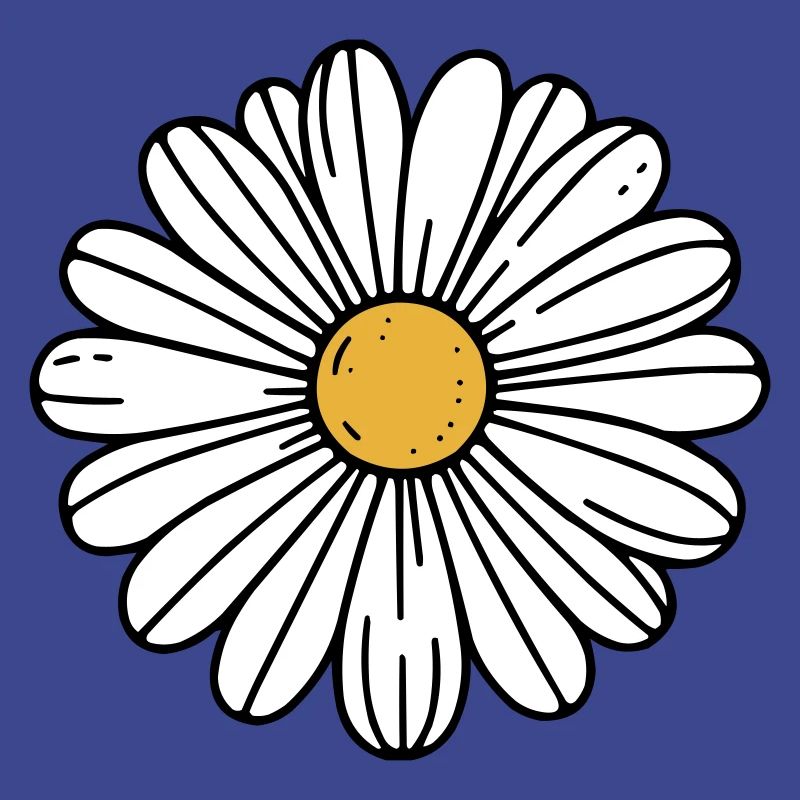 Gänseblümchen