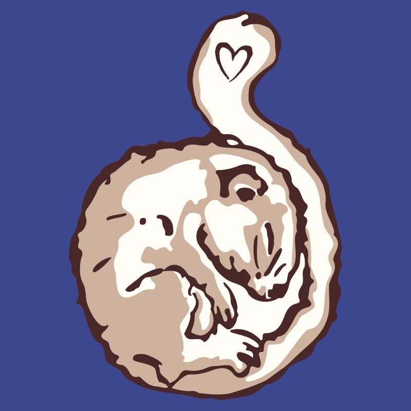 Hazel dormouse