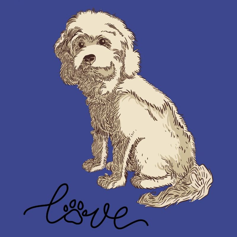 Cockapoo Cocker Spaniel Caniche Caniche miniature amour de chien